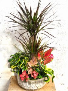 קרא עוד על המאמר משלוח פרחים לאכילוב