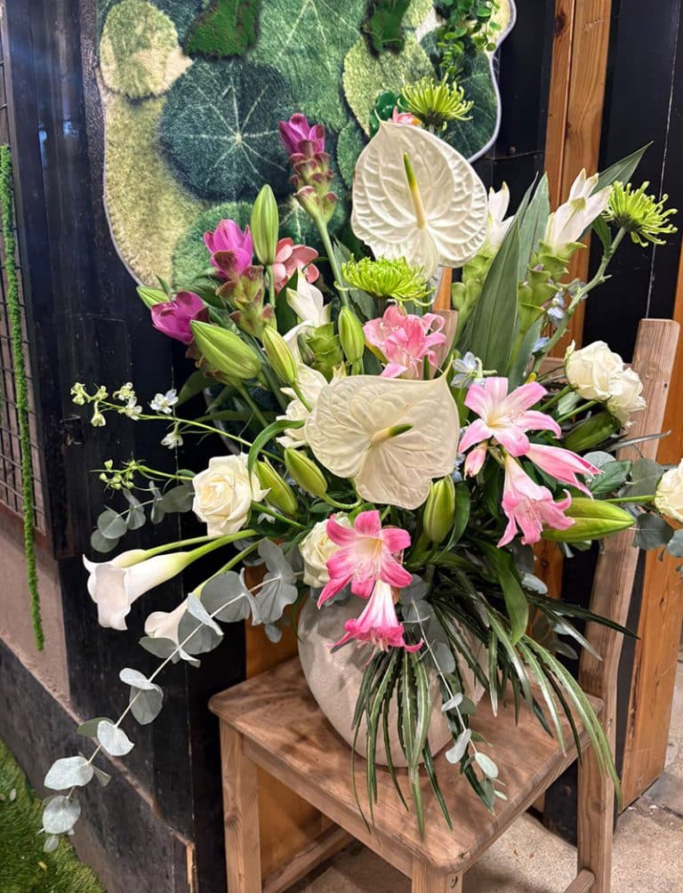 Surprise flower delivery in Tel Aviv – Amaryllis