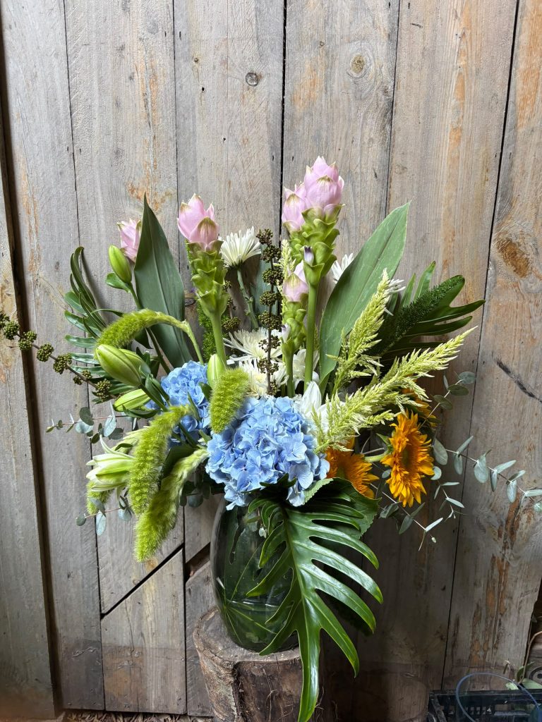 Sending flowers to a hospital patient in Tel Aviv – Amaryllis